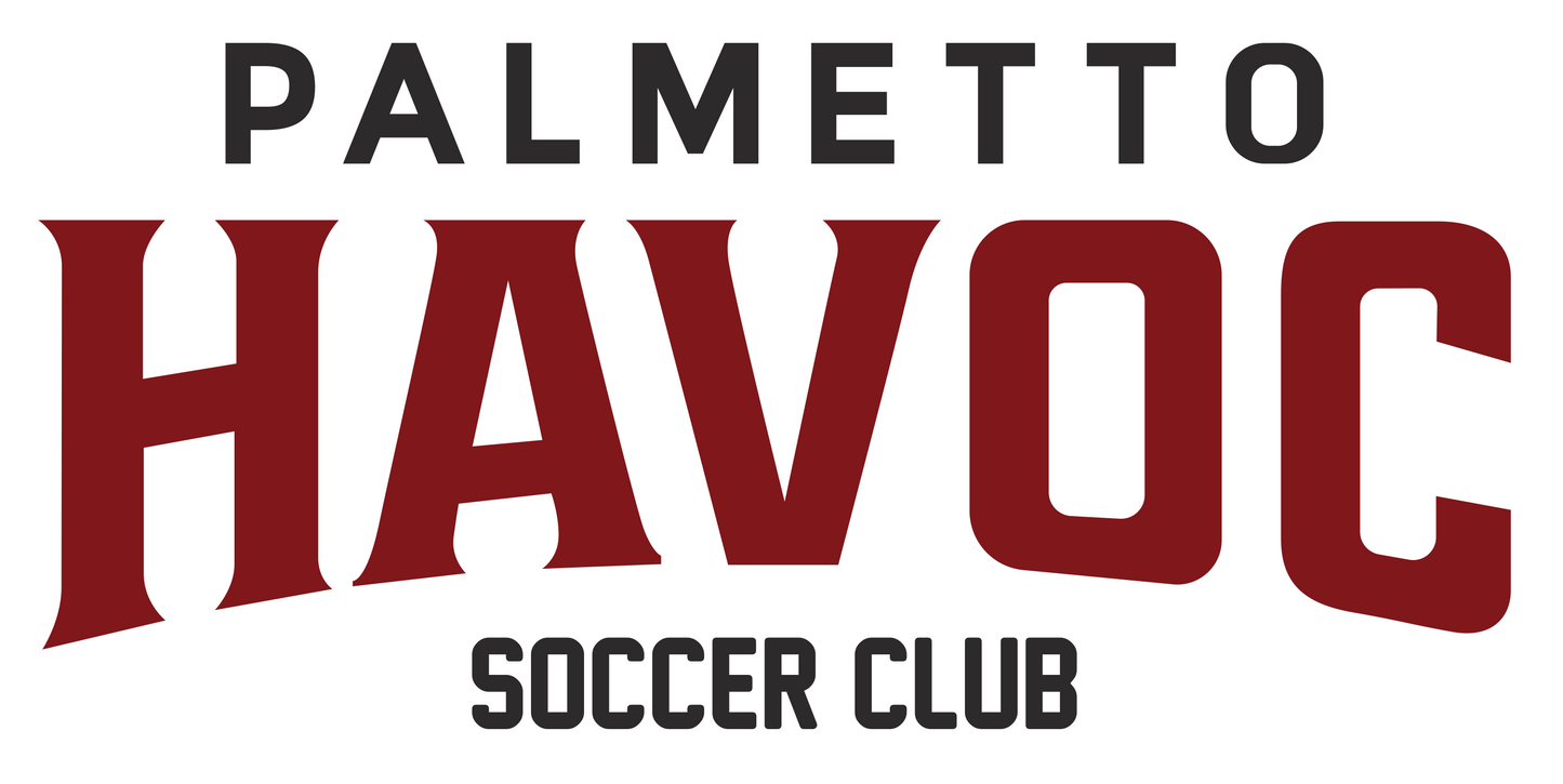 Palmetto Havoc SC Hat